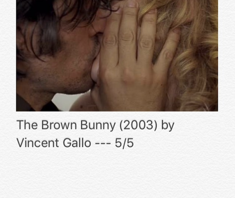 The Brown Bunny