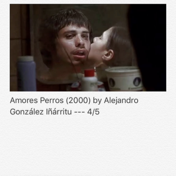 Amores Perros