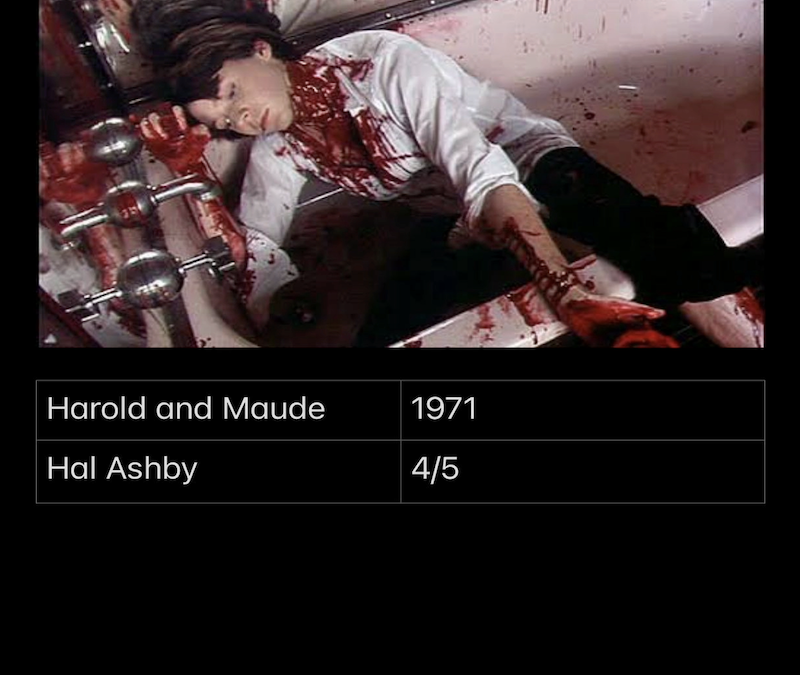 Harold And Maude