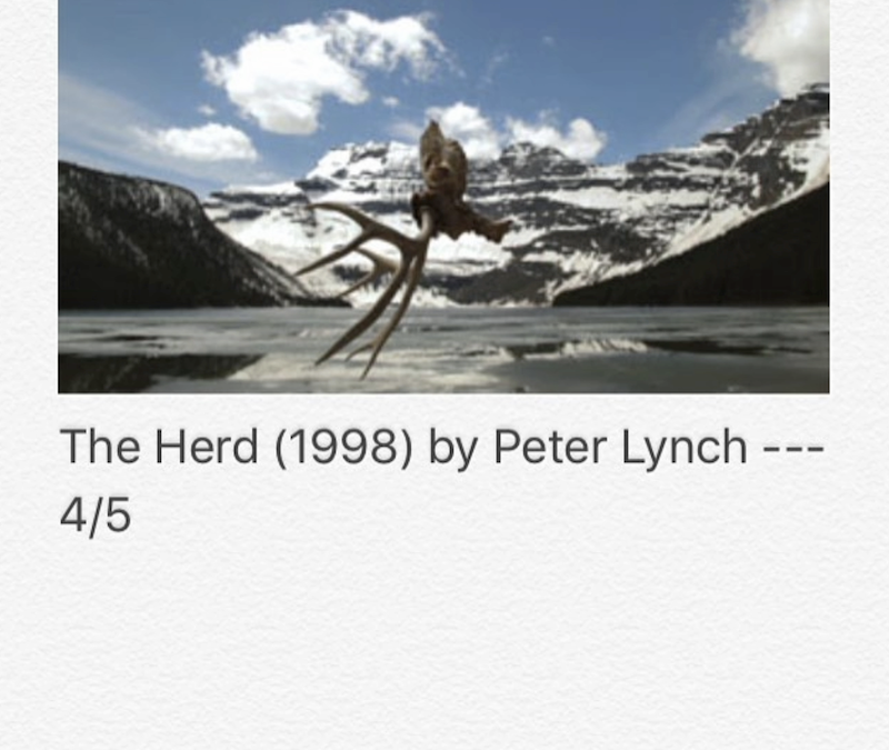 The Herd