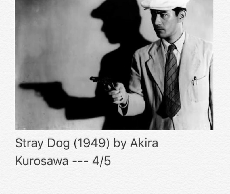 Stray Dog