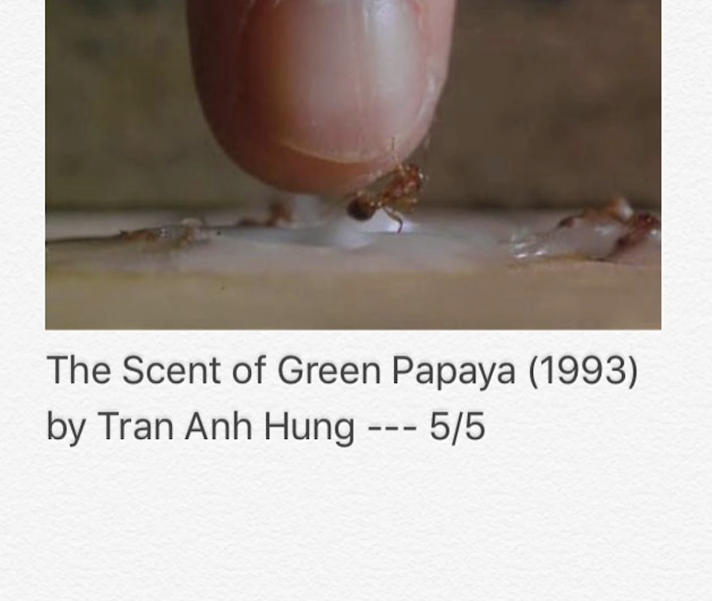 The Scent Of Green Papaya