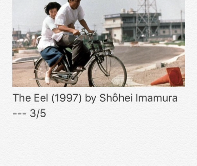 The Eel
