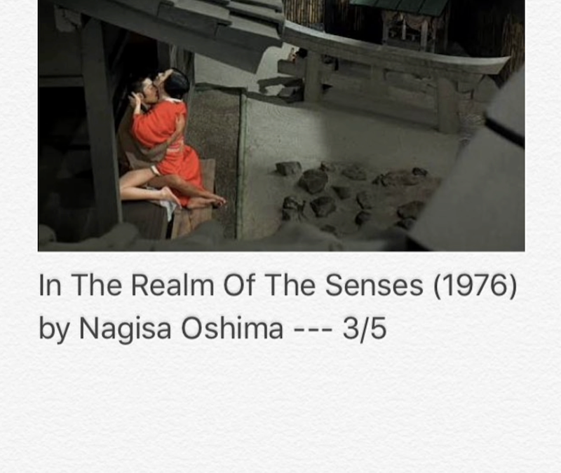In The Realm Of Senses