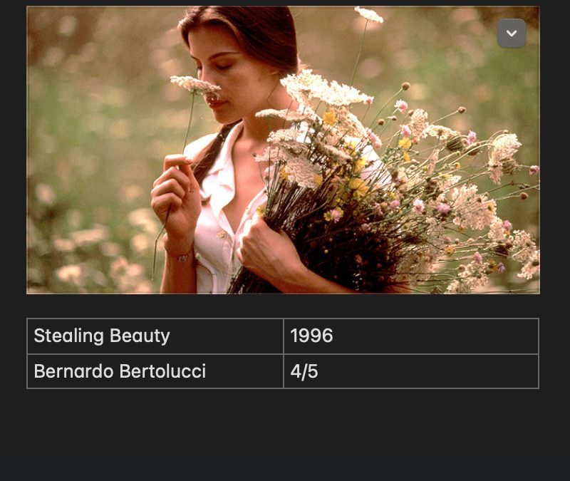 Stealing Beauty