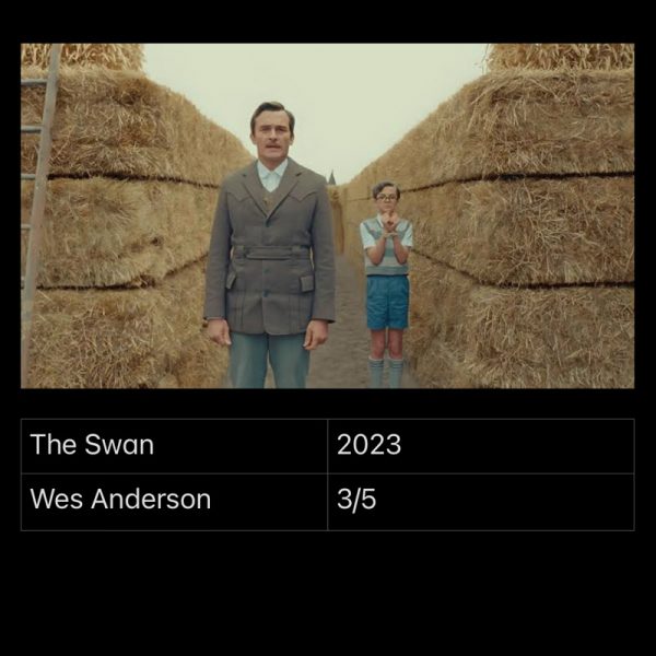 The Swan